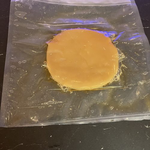 Scoby (la mère)