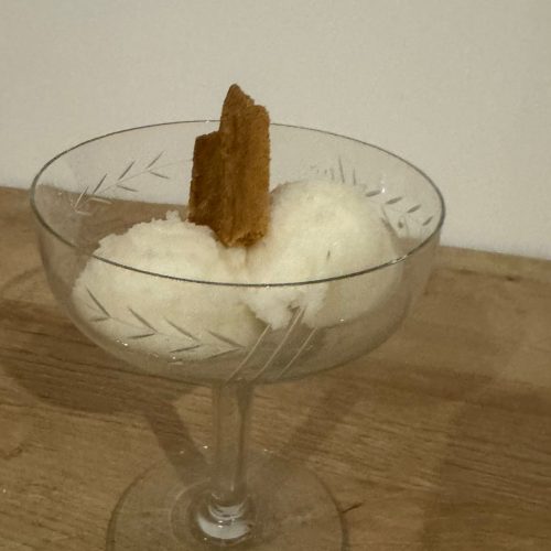 Sorbet kéfir citron gingembre